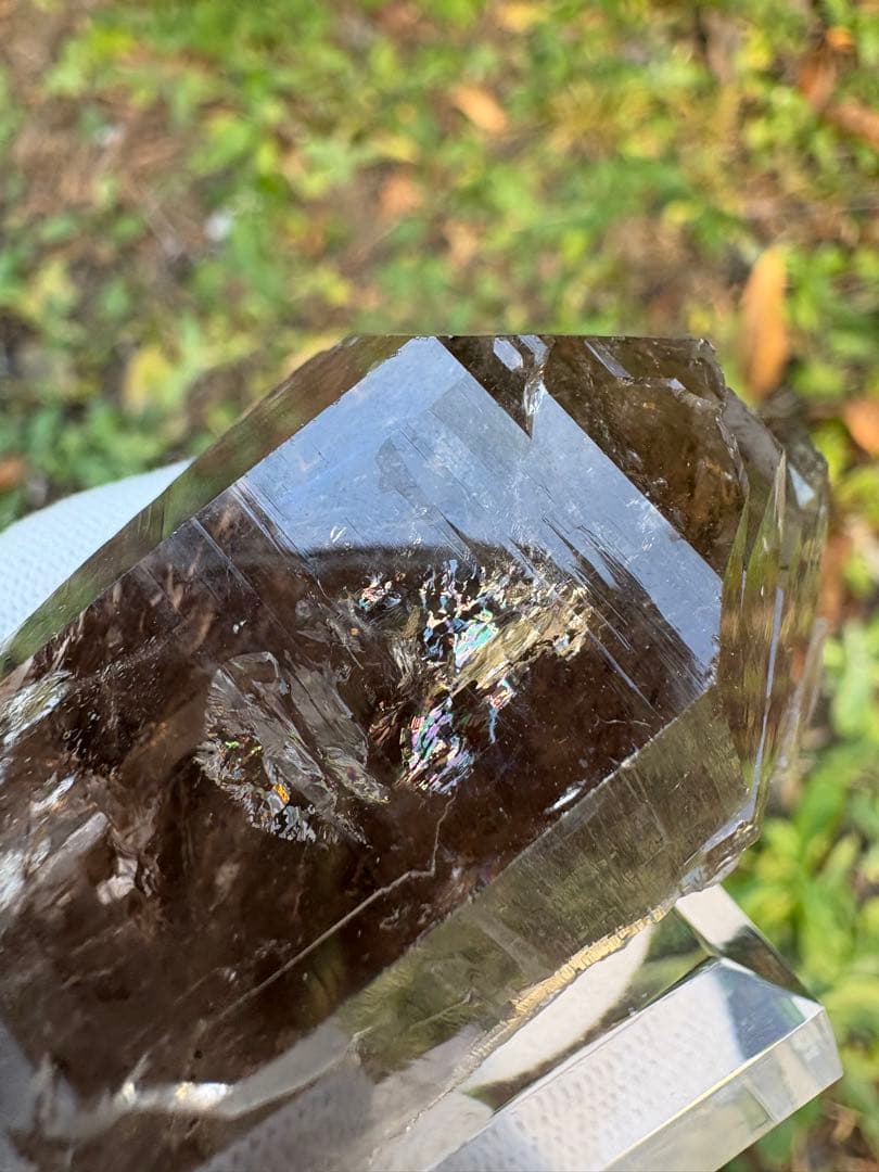 【匿名発送】スカルドゥ産スモーキーグインデル