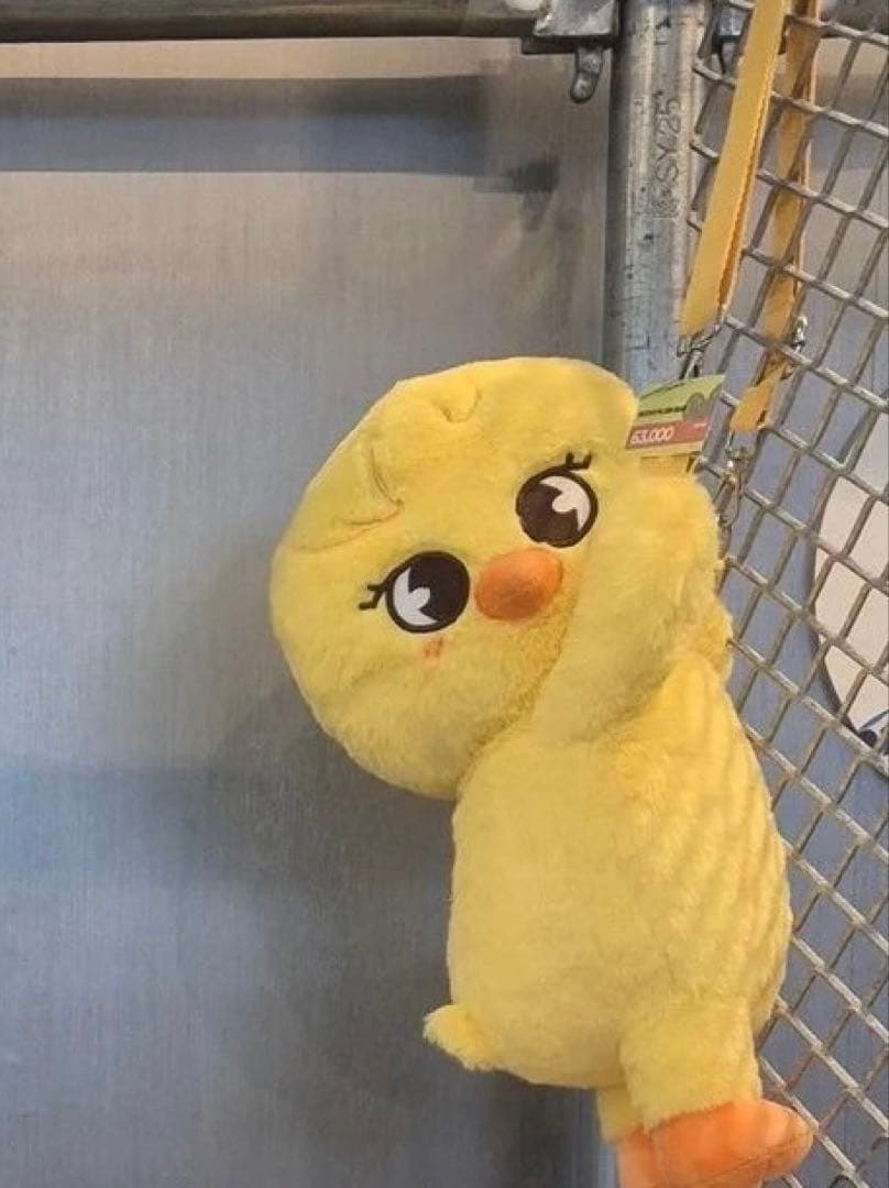 サイン入りL版写真 古澤佐野ペア