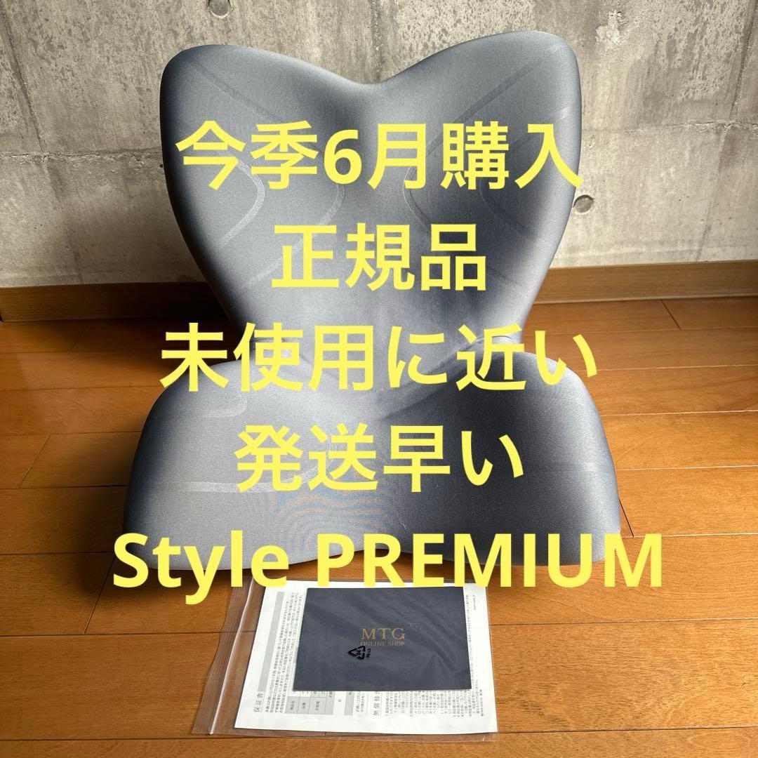 スタイル プレミアム Style PREMIUM 椅子 グレー