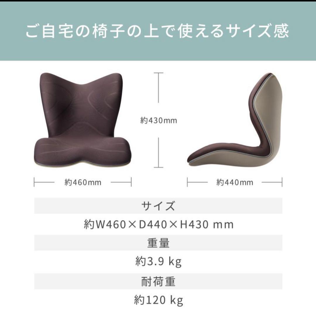 スタイル プレミアム Style PREMIUM 椅子 グレー