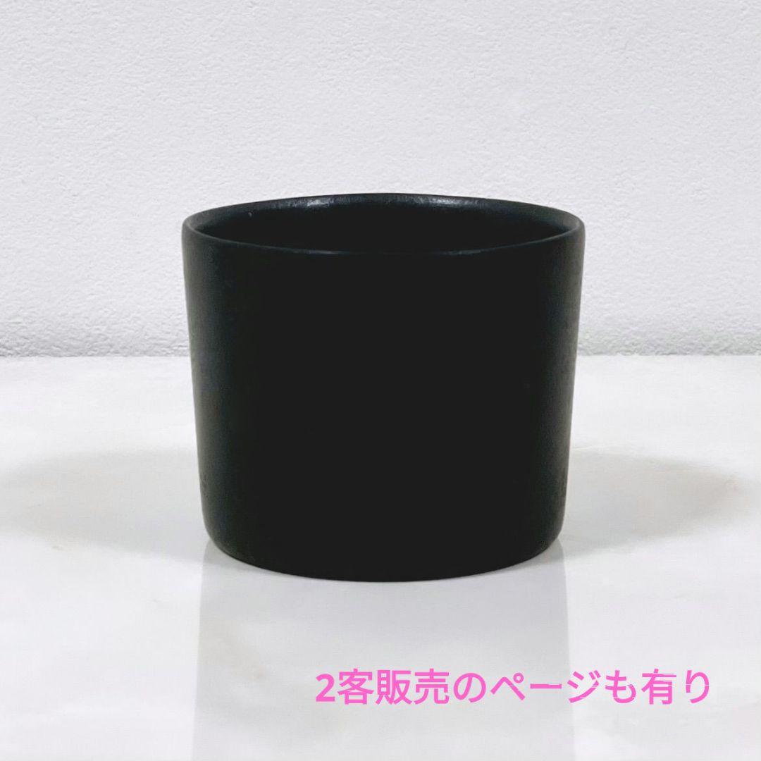 希少 安齋賢太 小鉢湯呑1客 河合竜彦辻和美村上躍岡晋吾さつきPETER IVY