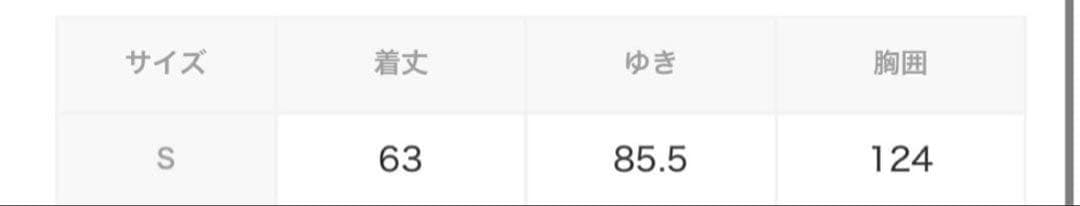 RAGLAN PUFFER HOODED JACKET ジャケット　XLARGE