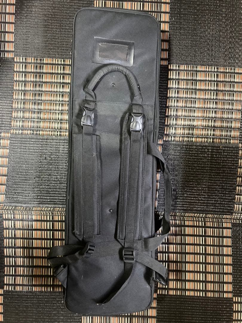 ヘビ柄 三線 本体 ケース付き