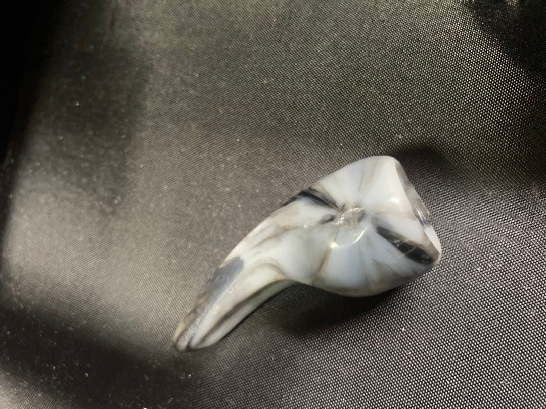 ヘビ柄 三線 本体 ケース付き