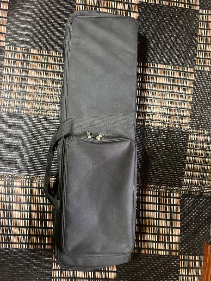 ヘビ柄 三線 本体 ケース付き