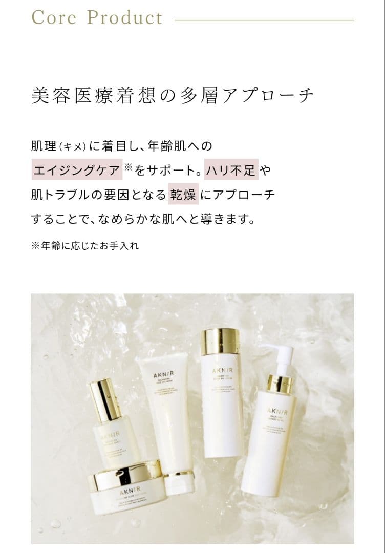 値下中【梨花プロデュース人気商品】AKNIR（アクニー）マスターパック 5点