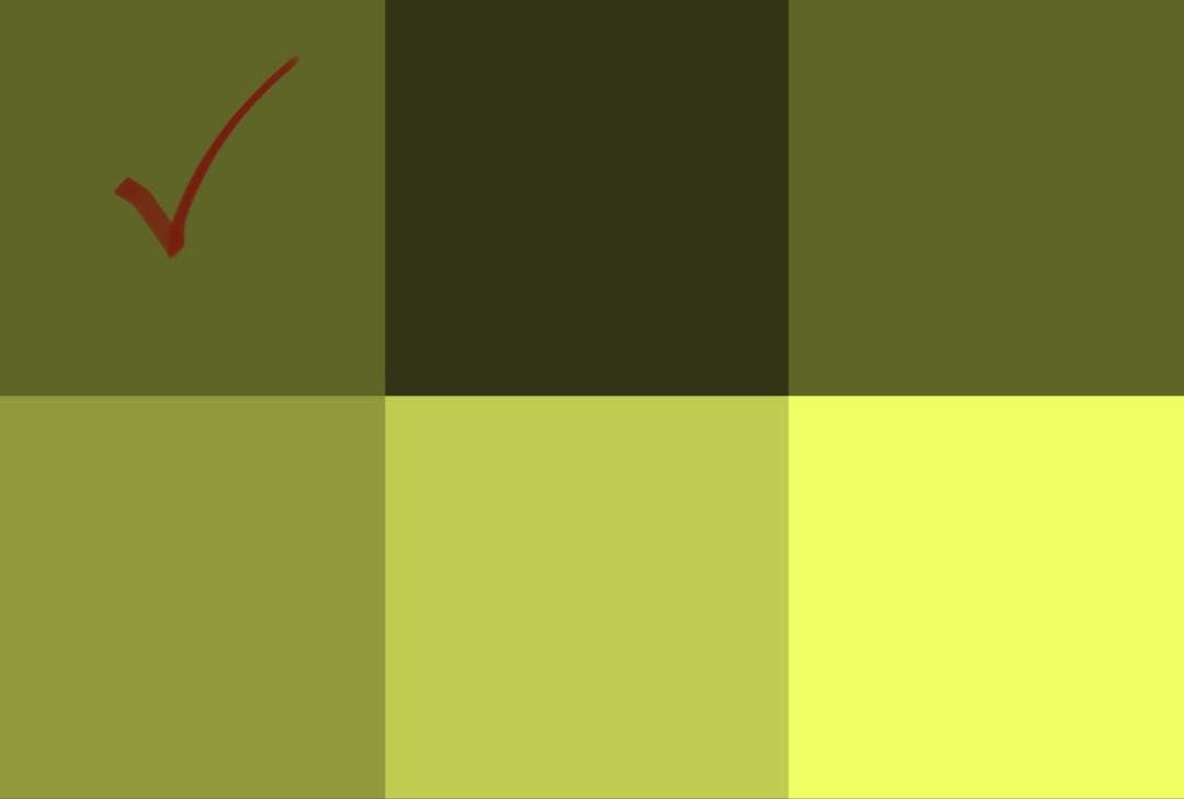 Burton GORE-TEX スノーボードウェア オリーブグリーン　ビブパンツ