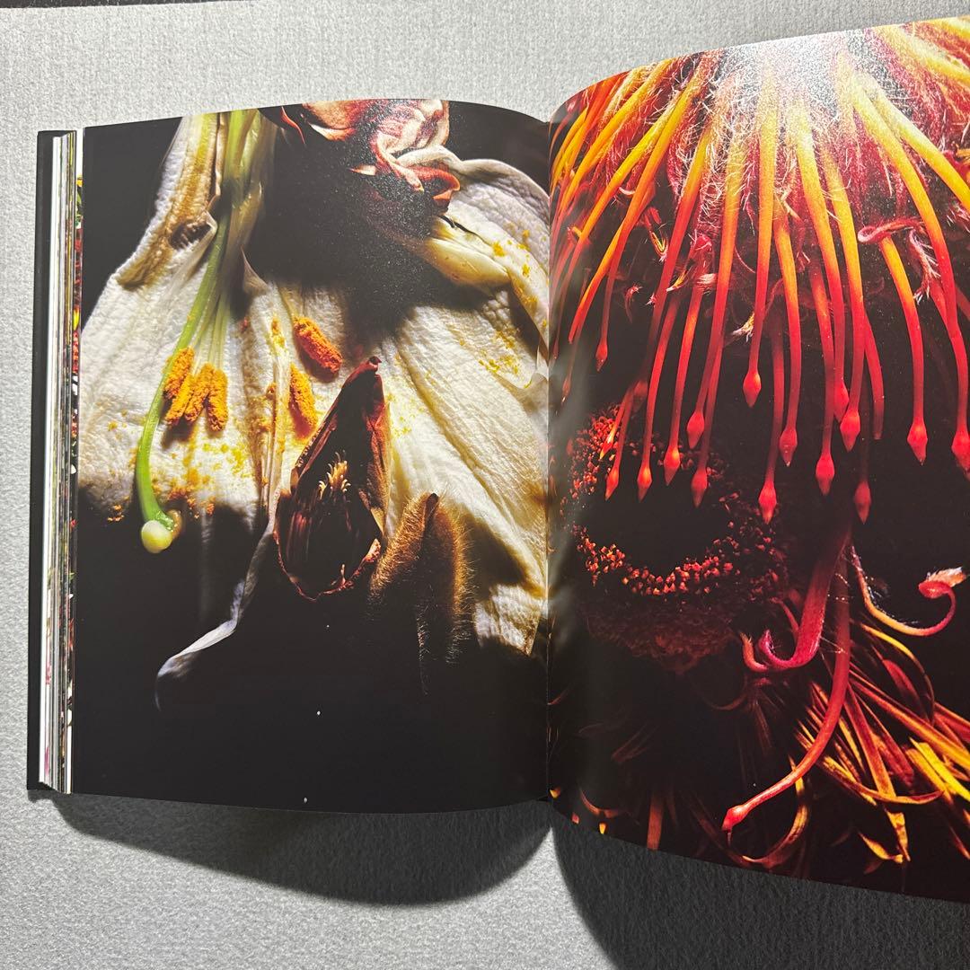 Flora Magnifica 東信 植物写真 椎木俊介 - メルカリ