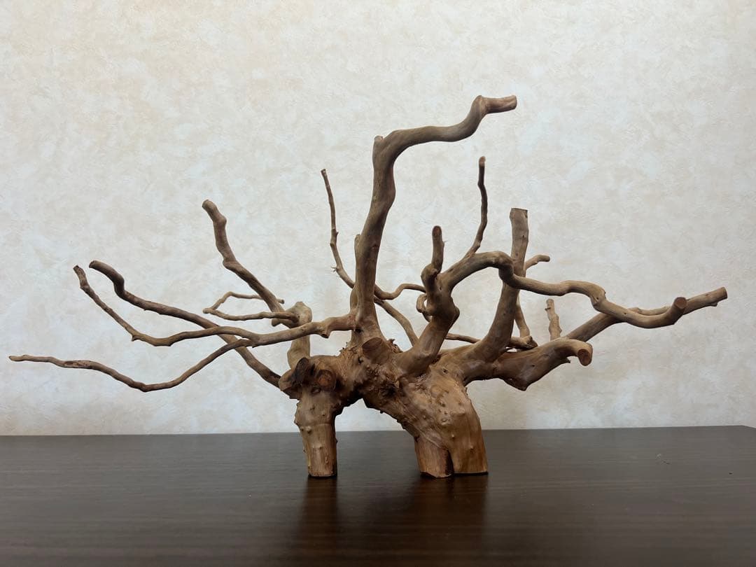 63001 ブランチウッド　流木　アクアリウム　沈水確認済