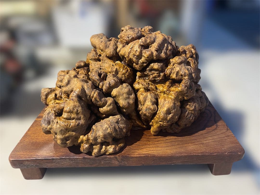 天然木　瘤　置き物　欅花台付き　瘤木　木瘤 杢瘤 希少　瘤杢目 木こぶ