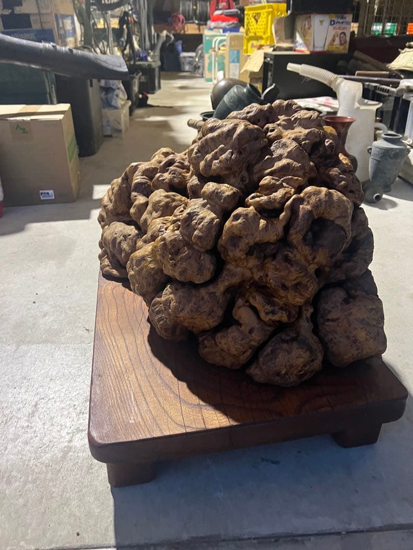 天然木　瘤　置き物　欅花台付き　瘤木　木瘤 杢瘤 希少　瘤杢目 木こぶ