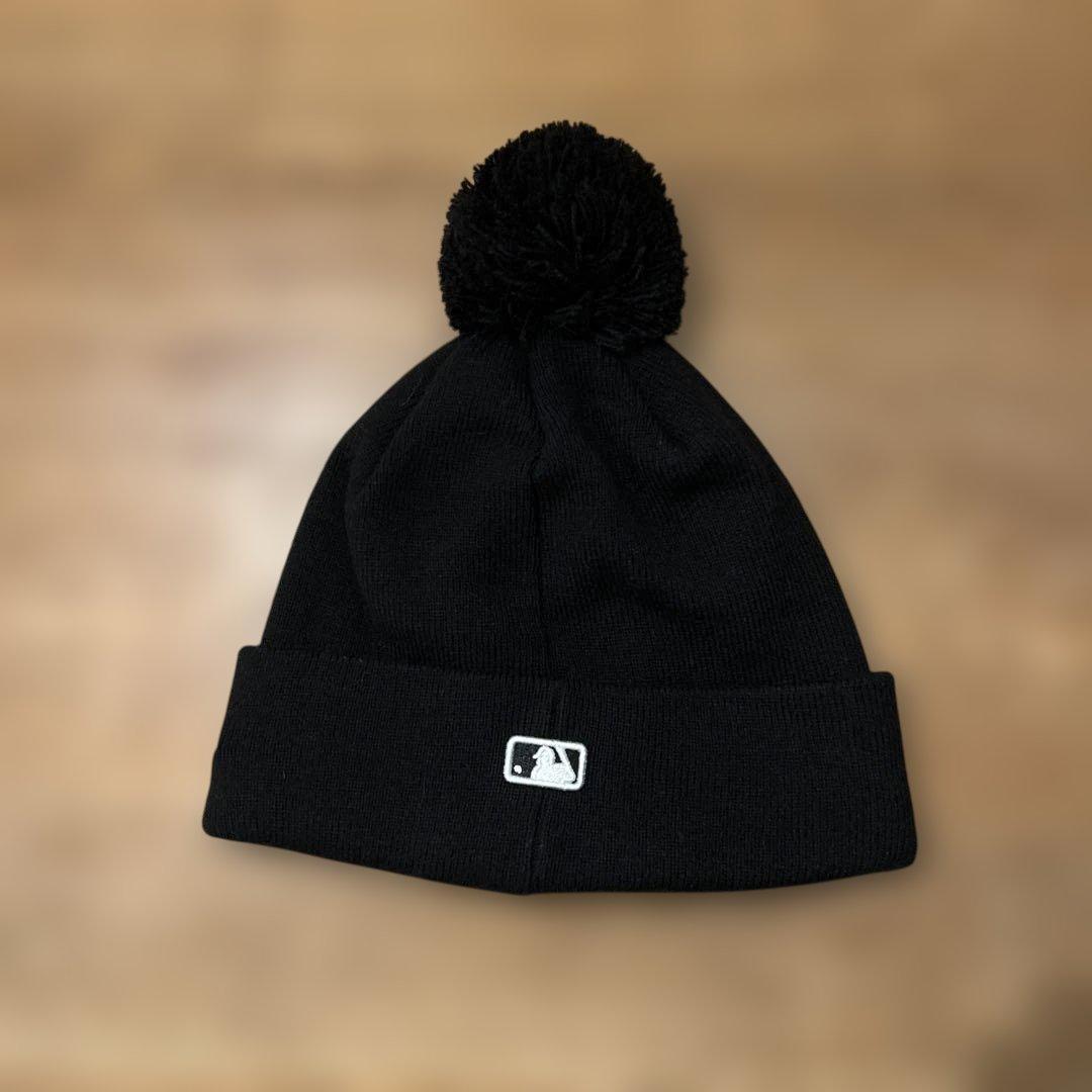 キジトラ（=^・エ・ヘ=）