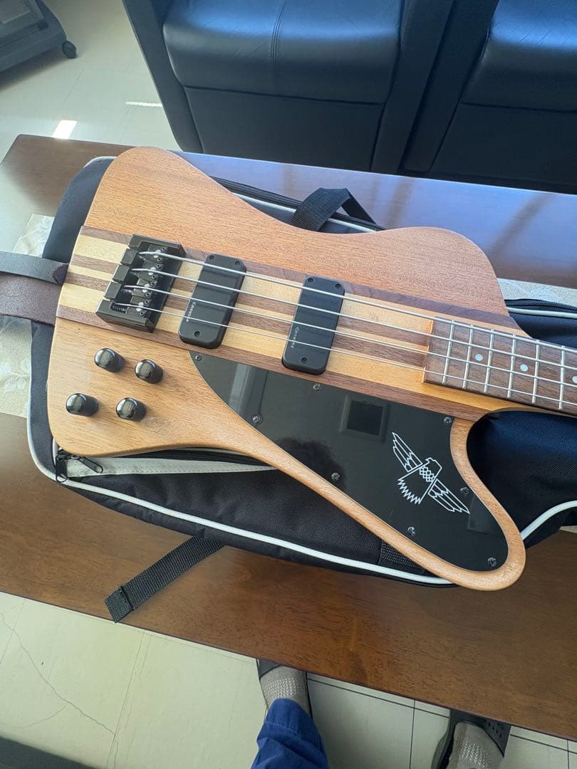 Epiphone T-Bird PRO エレキベース 専用ケース付き