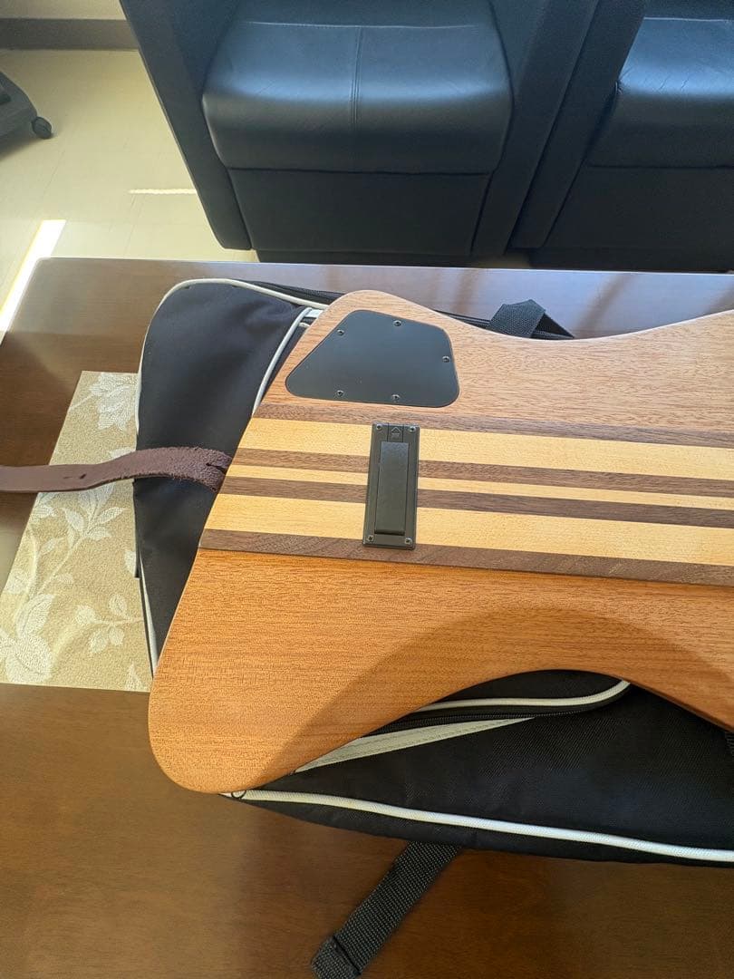 Epiphone T-Bird PRO エレキベース 専用ケース付き