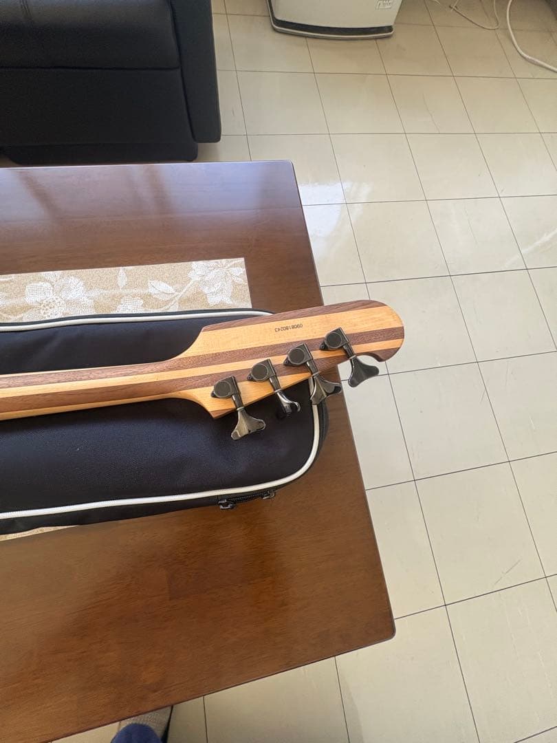 Epiphone T-Bird PRO エレキベース 専用ケース付き