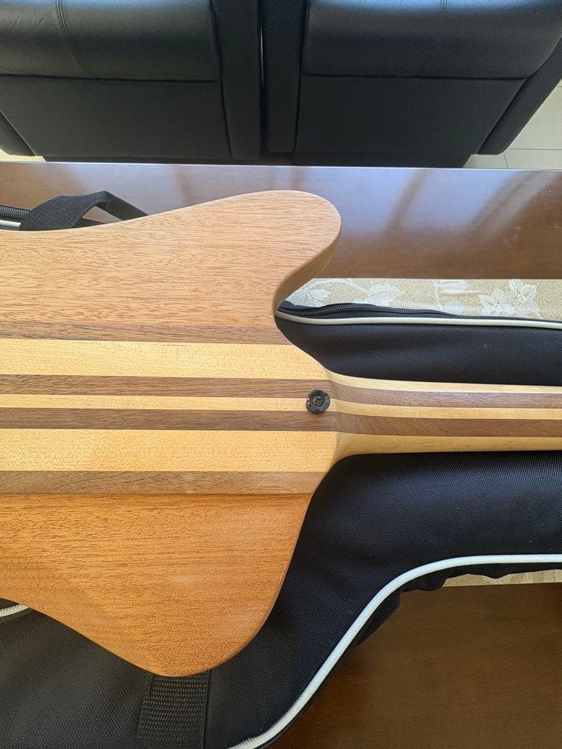 Epiphone T-Bird PRO エレキベース 専用ケース付き