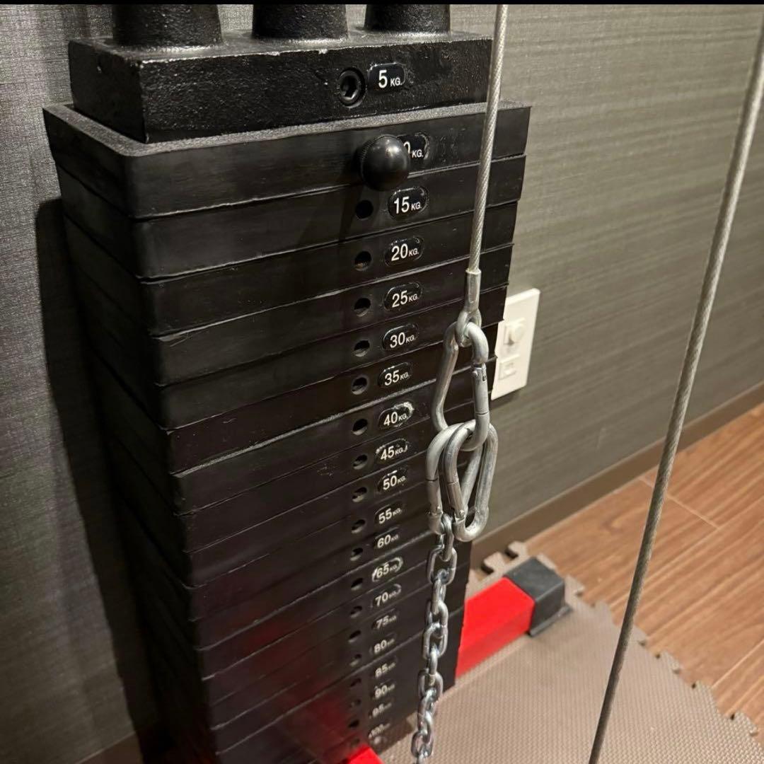 特別仕様 ラットプルマシン　本体　筋トレ　ケーブルマシン　懸垂　ホームトレ