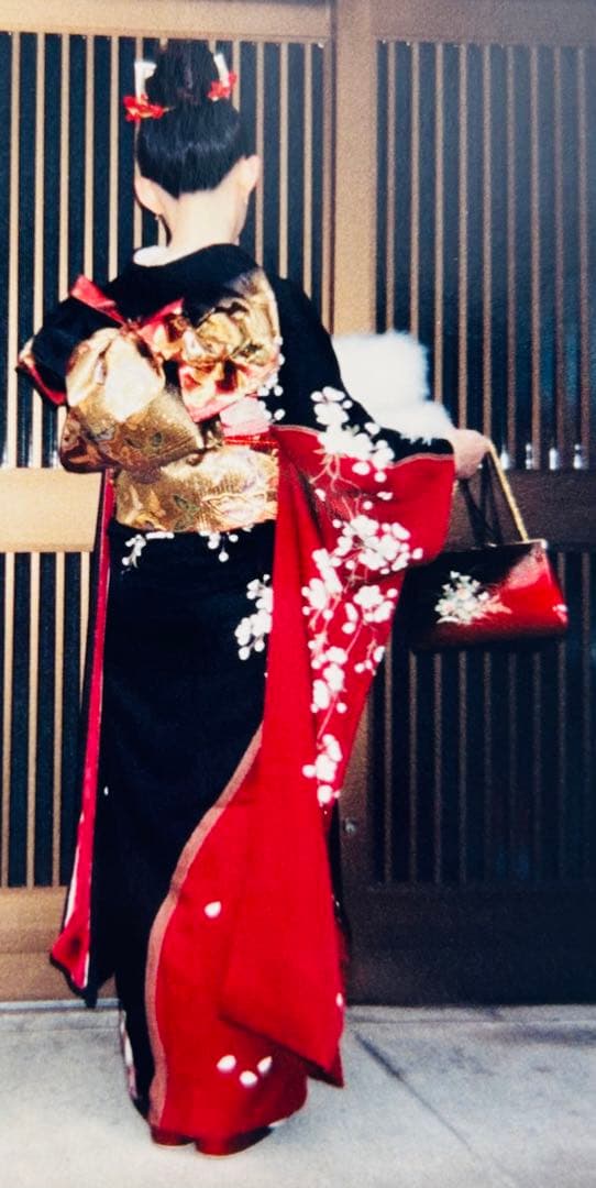 振袖 成人式1回使用のみ 200万円で購入 ブランド着物 フルセット