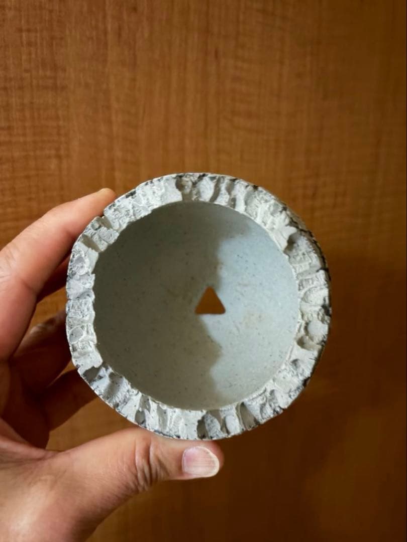 konect ＊fang (コネクト ファング) 鉢