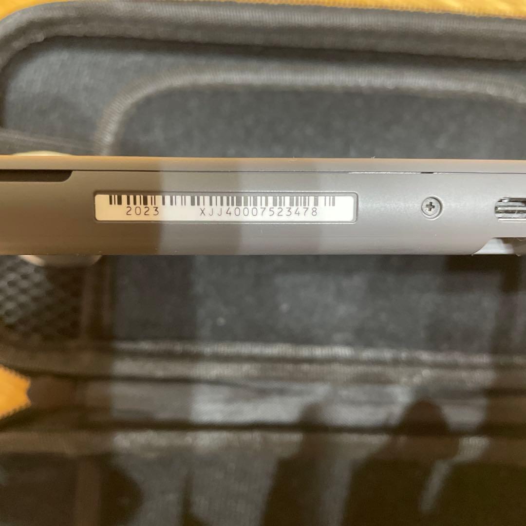 Nintendo Switch Lite グレー本体　動作確認済み　ケース付