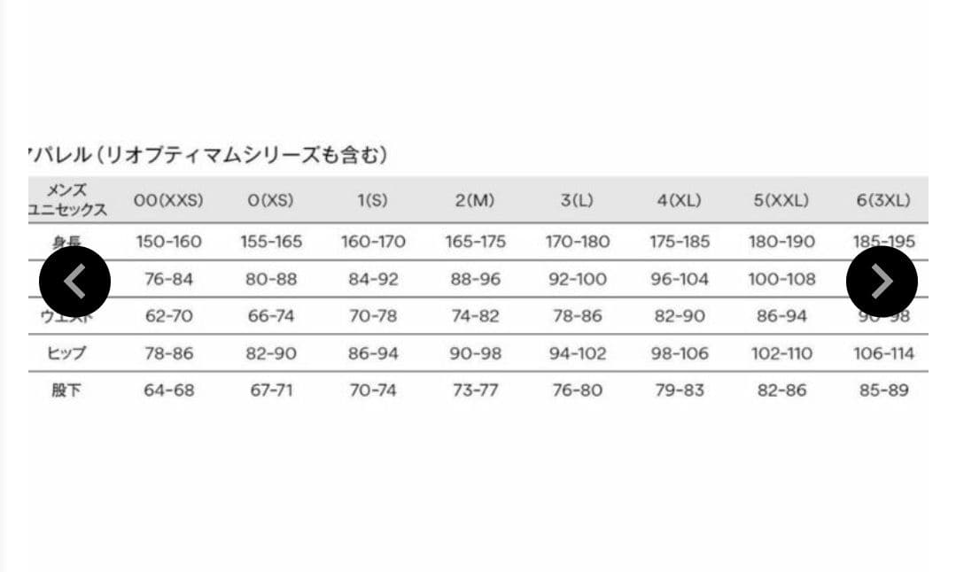 Goldwin スキーウェア