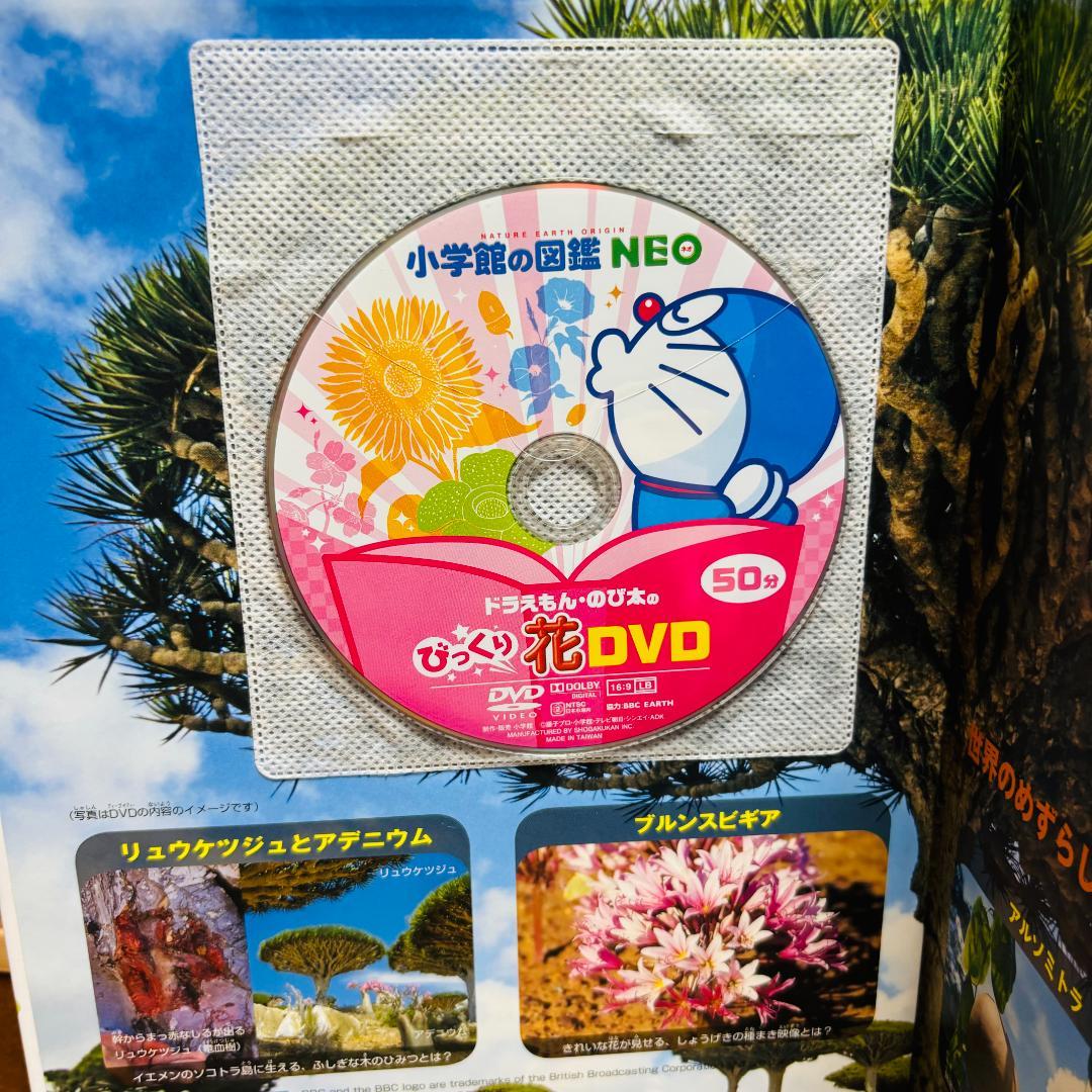 小学館の図鑑 ● NEO シリーズ １３冊セット 《DVD付き》