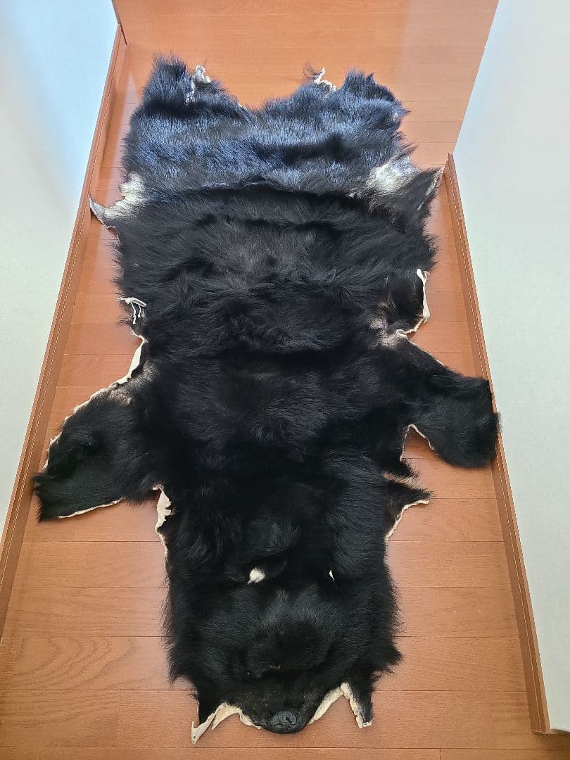 ツキノワグマ毛皮 - メルカリ