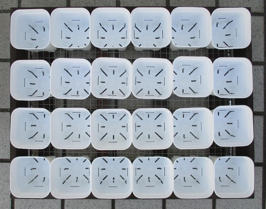 期間限定　５段トレー　多肉棚　プランター　スタンド　多肉植物棚　ラック　アガベ