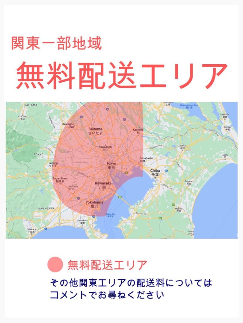 1年保証　2022年！ギュットアニーズ⭐️16AH！子供乗せ電動自転車Y3124