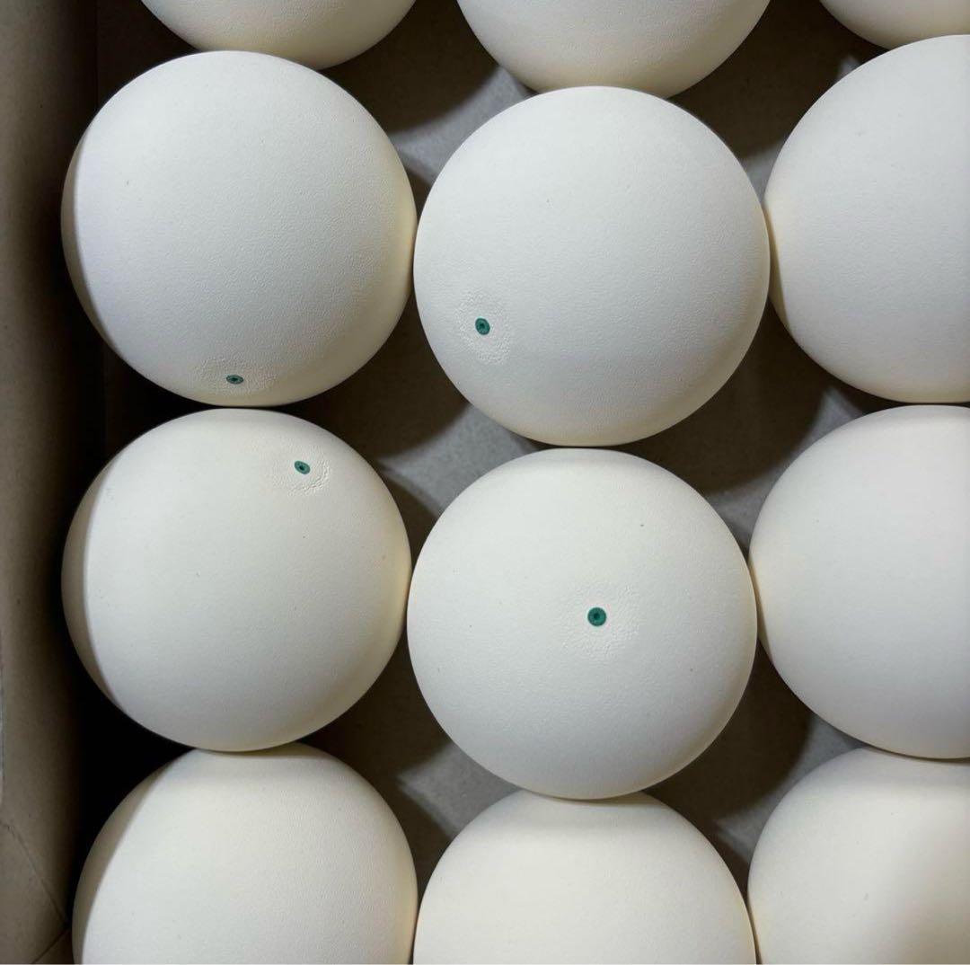 【早い者勝ち】ソフトテニス ボール 90球 新品