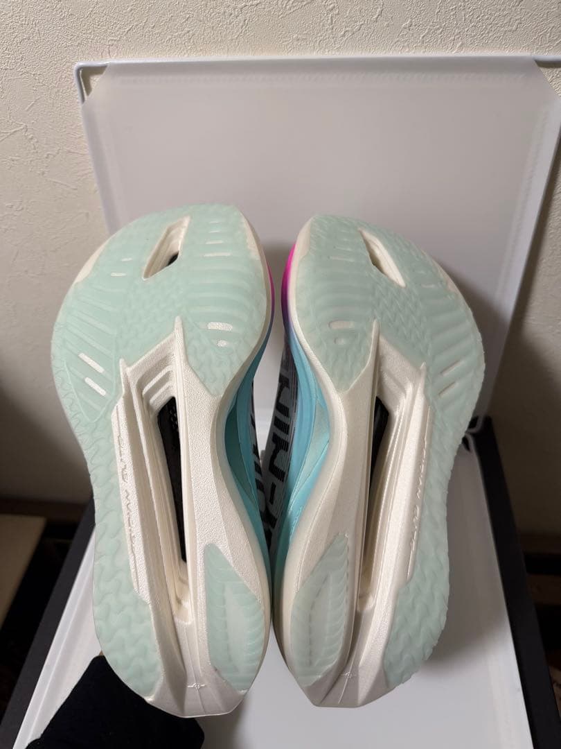 LI-NING リーニンFEIDIAN 5 ELITE 24.5cm