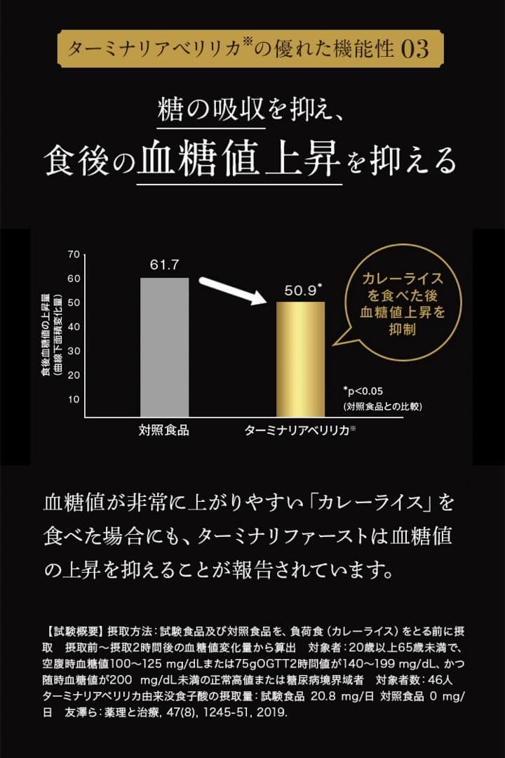 ビタブリッドジャパン ターミナリアファースト 120粒 3袋 ケース付新品未開封