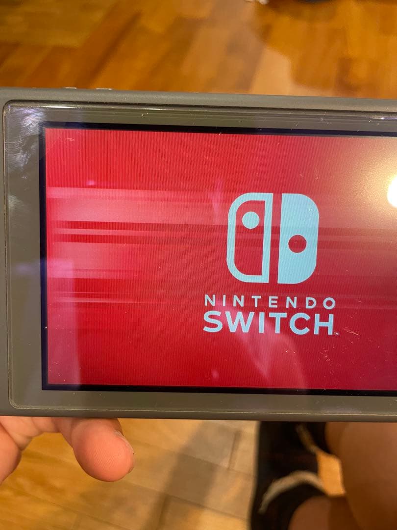 Nintendo Switch Lite グレー 本体　任天堂　スイッチ