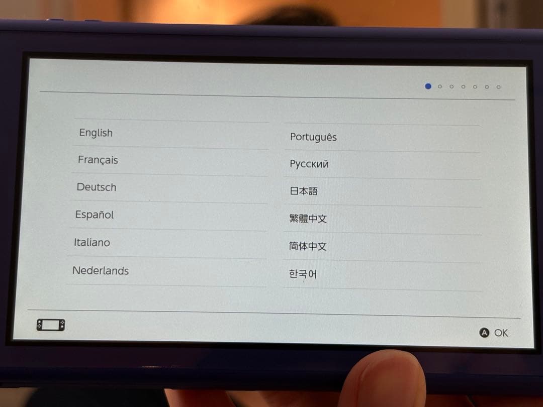 Nintendo Switch Lite ブルー本体と充電器付き