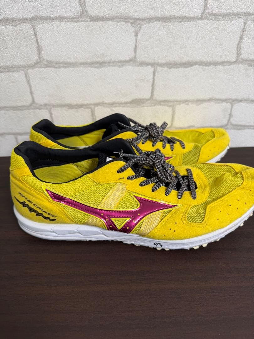 Mizuno ウェーブクルーズジャパン　26.5cm