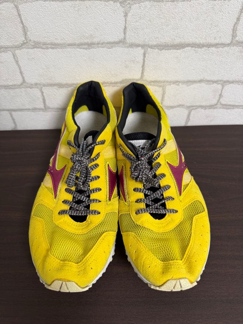 Mizuno ウェーブクルーズジャパン　26.5cm