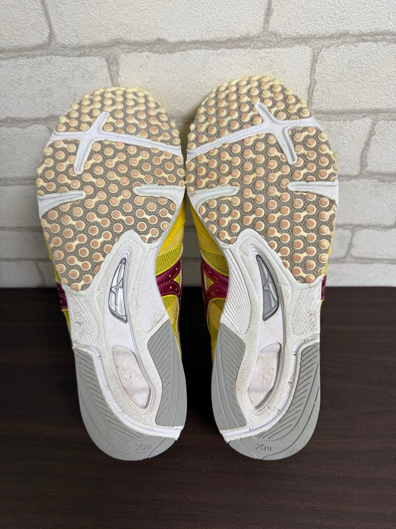 Mizuno ウェーブクルーズジャパン　26.5cm