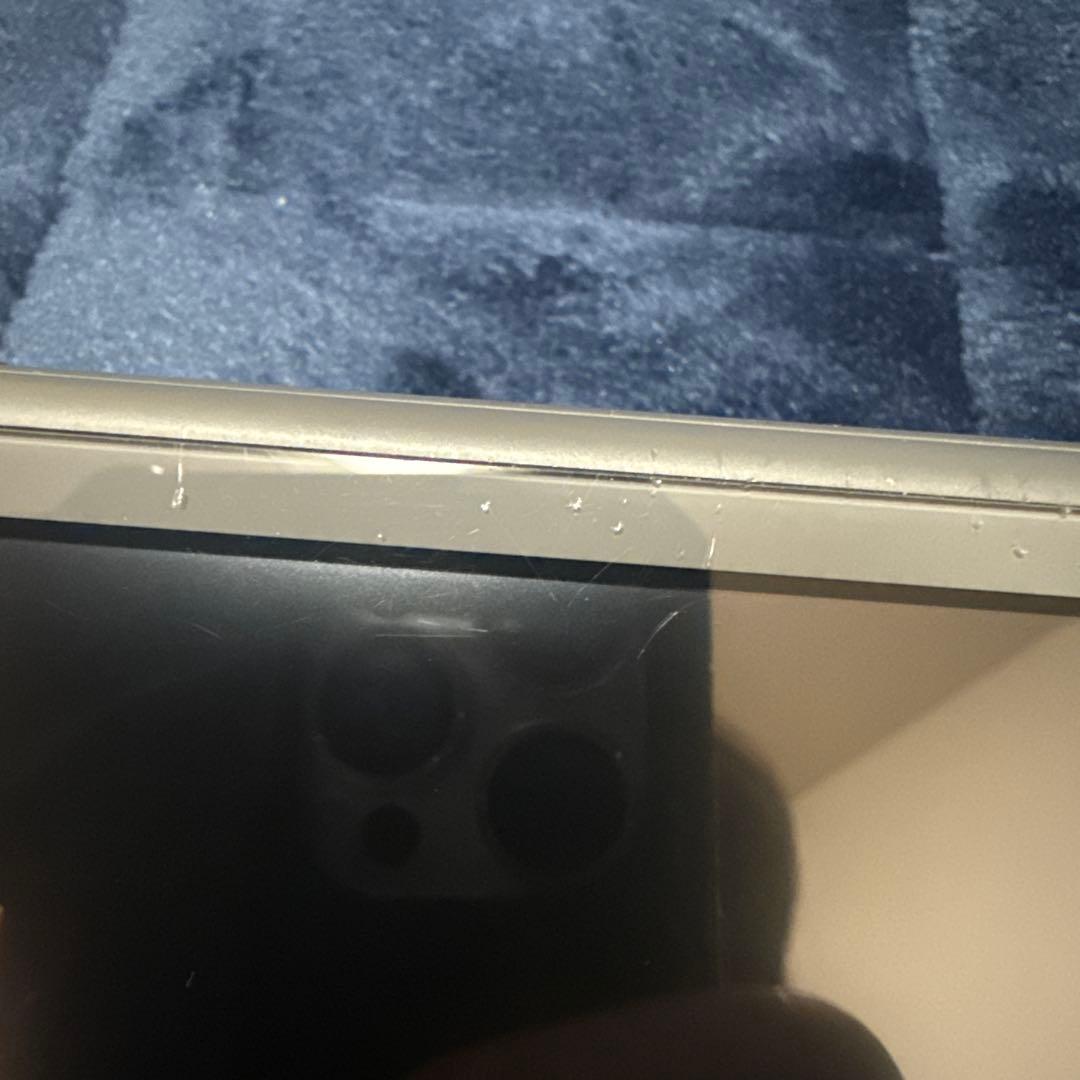 Nintendo Switch Lite グレー本体　箱無し付属なし