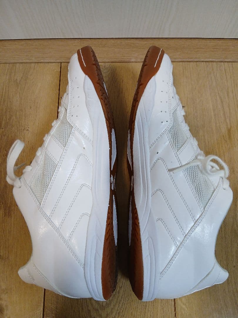 デスポルチ　テッサライト　26.5cm