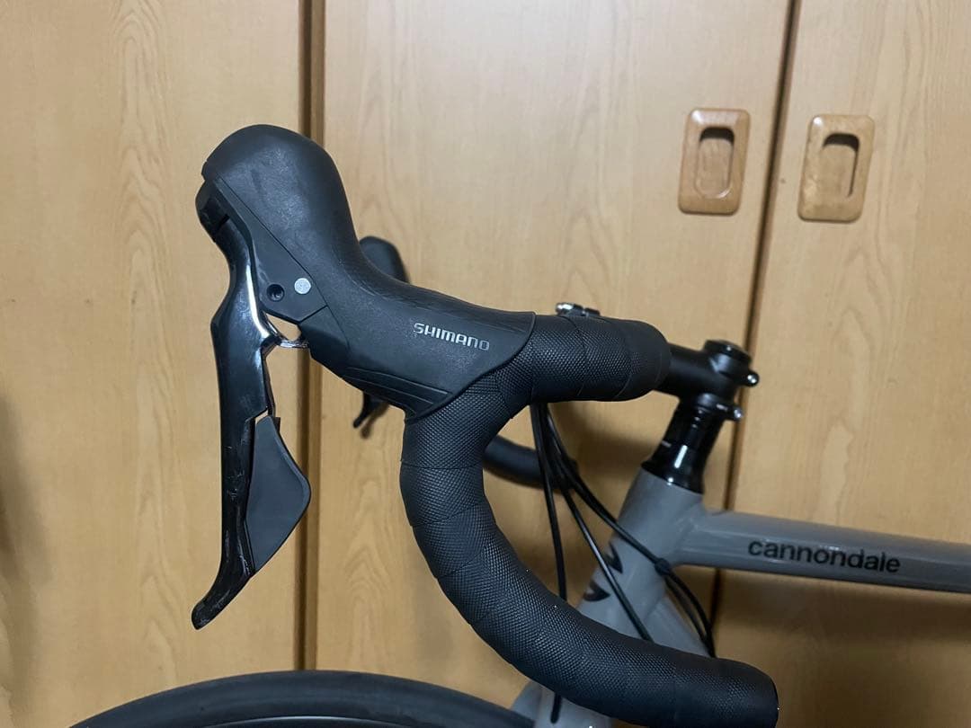 CANNONDALE CAAD13 DISC 2021年　54 ステルスグレー