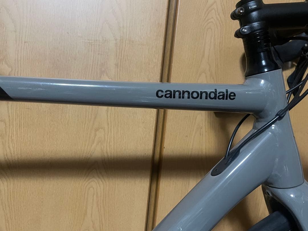 CANNONDALE CAAD13 DISC 2021年　54 ステルスグレー