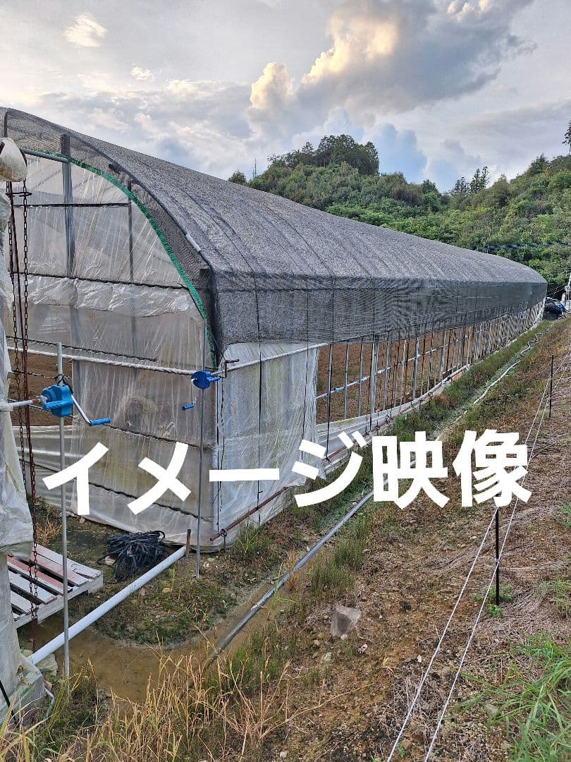 「お値下げ致しました』ハウス用遮光ネット(網タイプ)