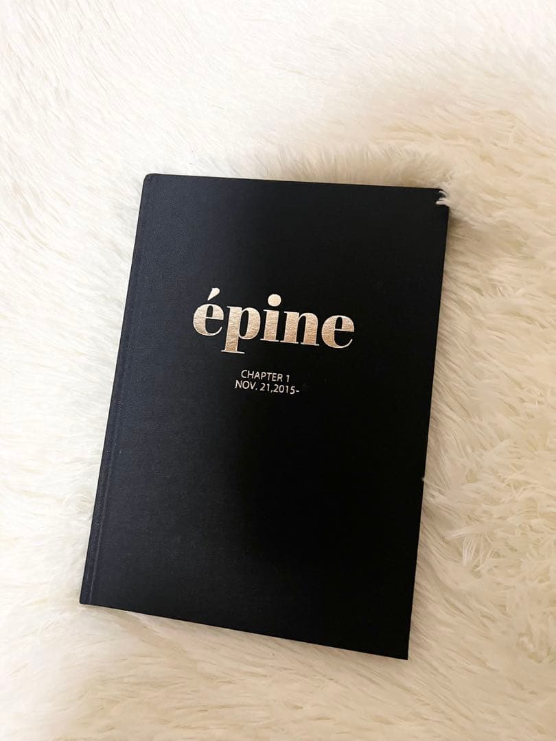 【専用】épine the LAST YEAR book