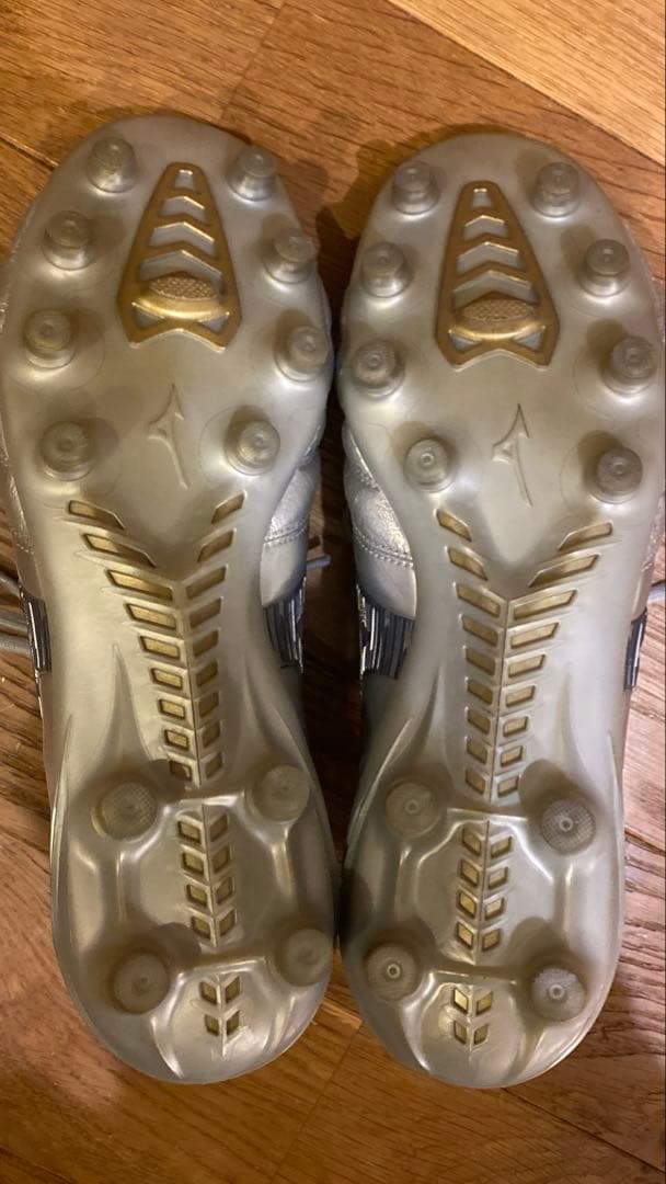 モレリアネオ4 24.5シルバー