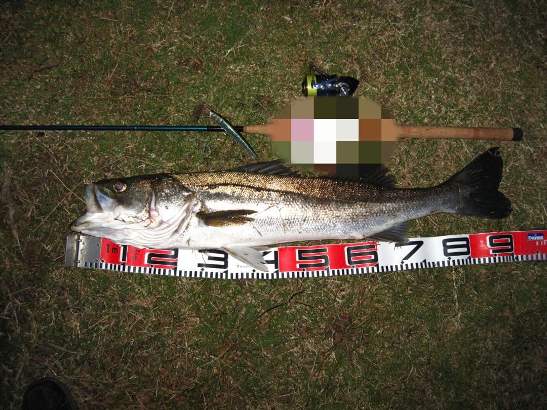 スミスSMITHブローショット GSX76