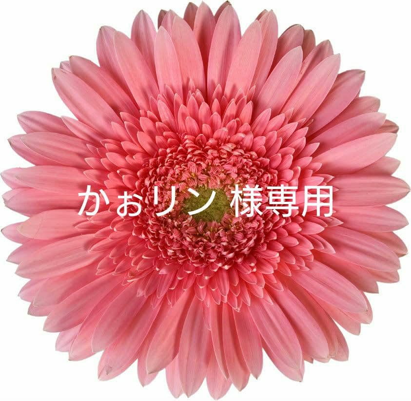 かぉリン 1992 Kawasaki ZXR750R – Iconic Motorbike Auctions