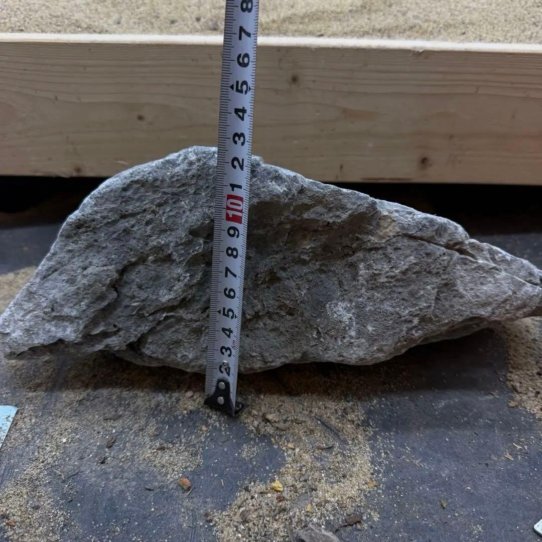 きら　MSS-6874 セレクト品青龍石31cm親石　龍王石　竜王石