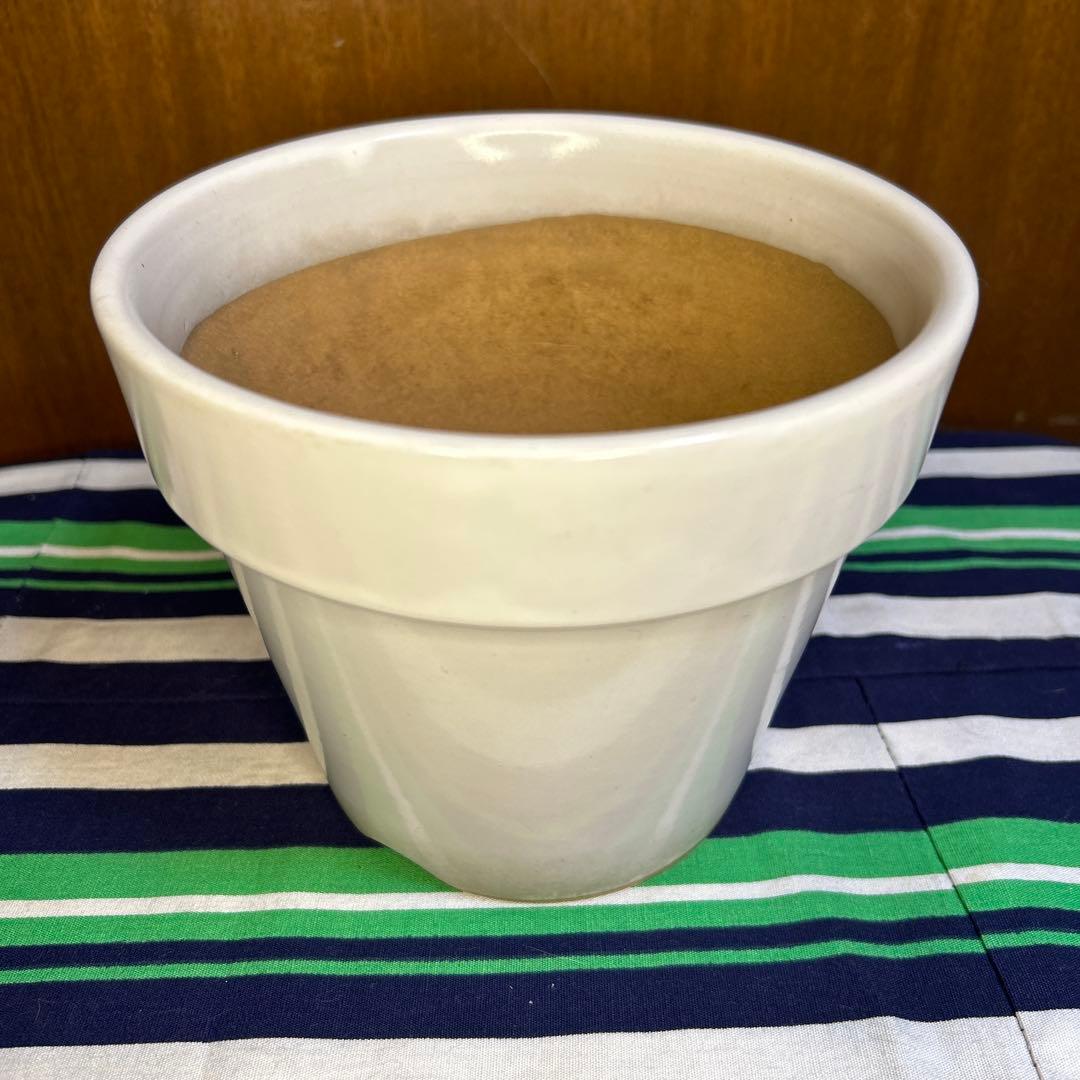 美品 白の塗鉢3個セット、貫入入り2点20cm,19cmと貫入なし1点16㎝
