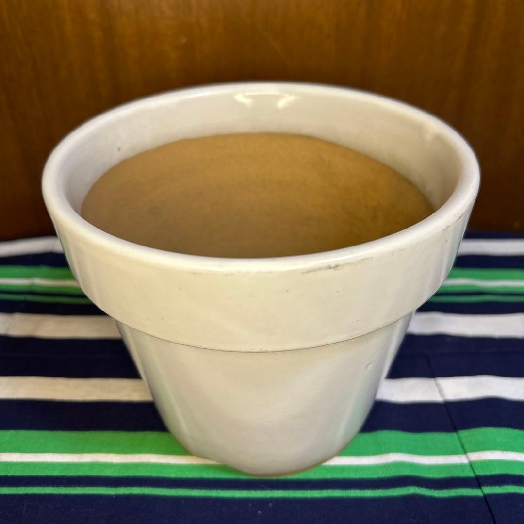 美品 白の塗鉢3個セット、貫入入り2点20cm,19cmと貫入なし1点16㎝