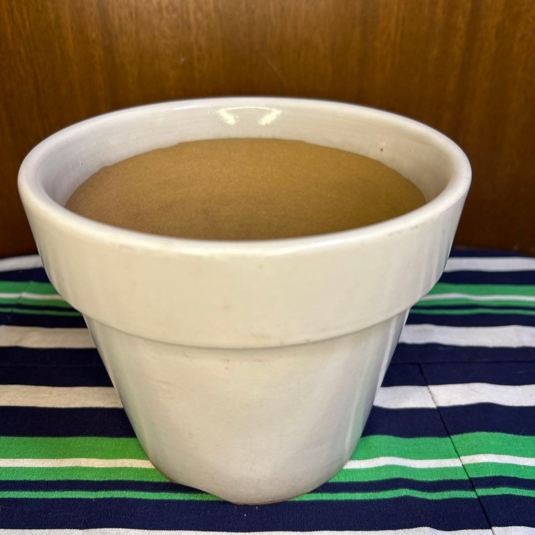 美品 白の塗鉢3個セット、貫入入り2点20cm,19cmと貫入なし1点16㎝